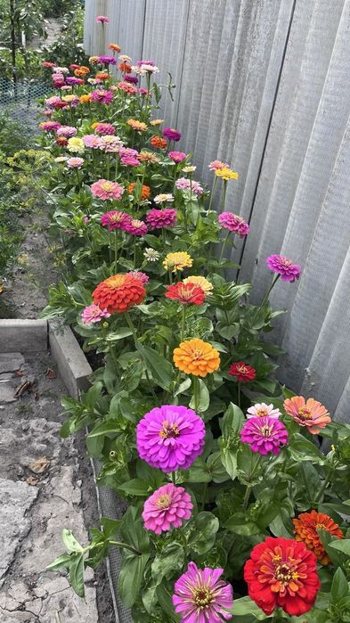 Продам дом в центре Павлограда