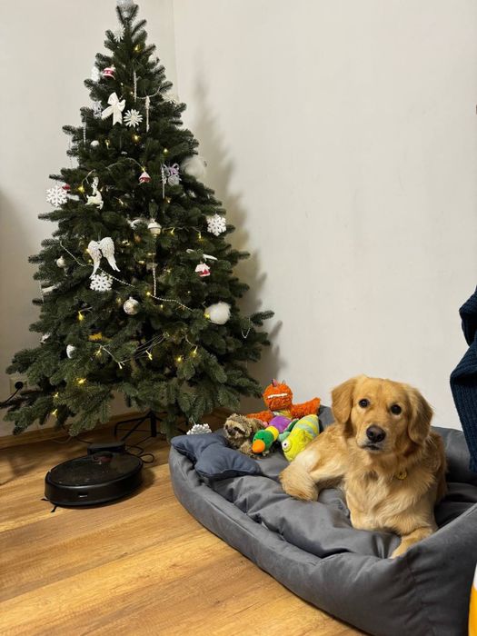 Лежак для больших средних маленьких собак недорогая лежанка место