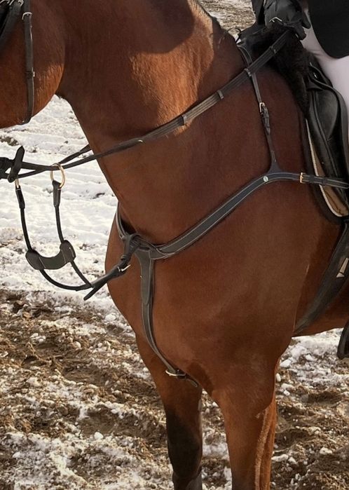 Napierśnik anatomiczny 3pkt full