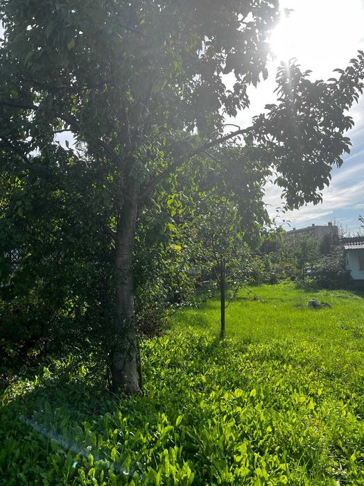 Działka ROD im. Żwirki Wigury Chojnice Kościerska