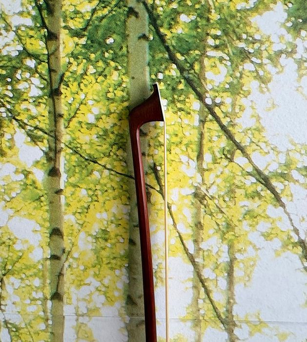 Violoncelo 4/4 seminovo