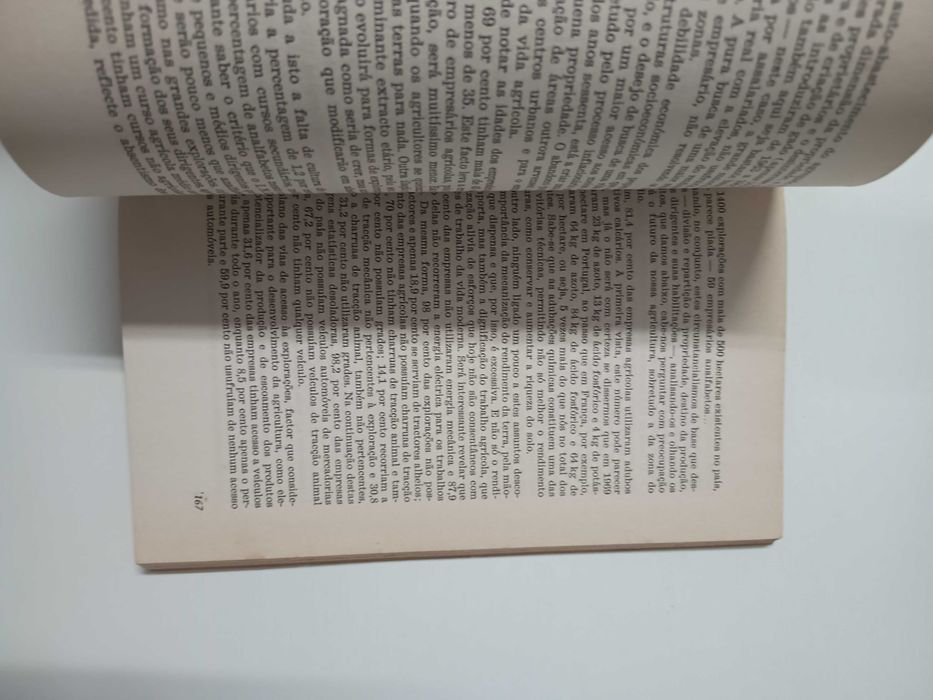 Teses: desenvolvimento regional e administração local