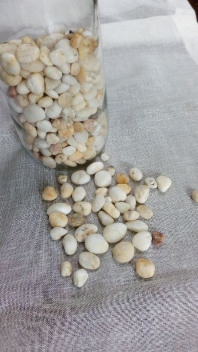 Pedras e conchas -Artesanato