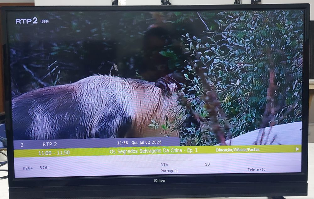 Televisor  Qilive de 32 polegadas