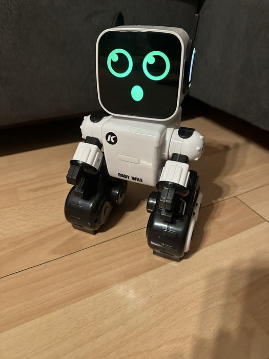 Interaktywny robot Cady Wille