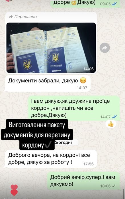 Документы для животных титры сертификат