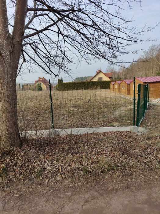 Zdjęcie 4