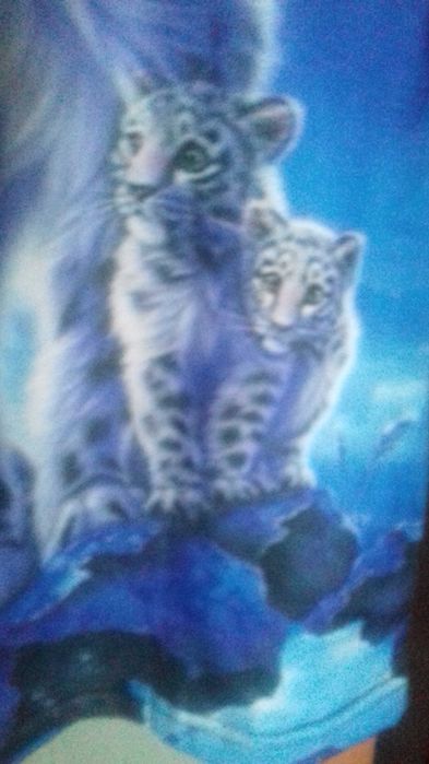 Damski T-shirt top 36/38