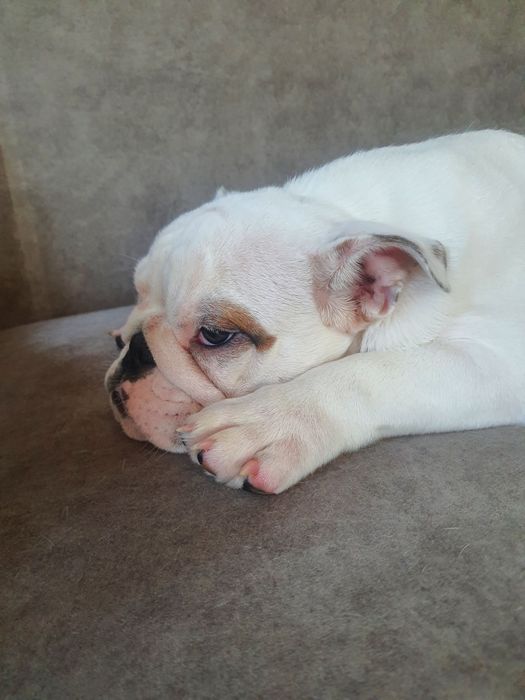 Дівчинка з інвалідністю, 11міс. Позитивна, компанійська.