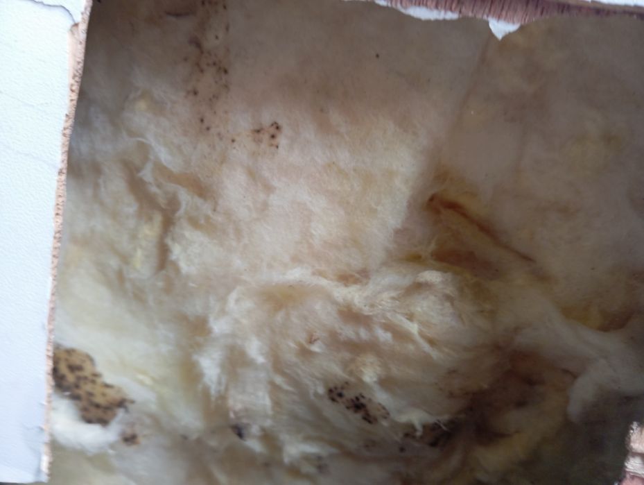 Рено мастер 2015року