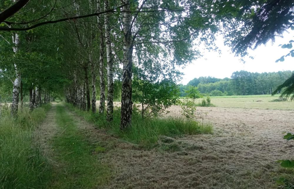 Działka budowlana