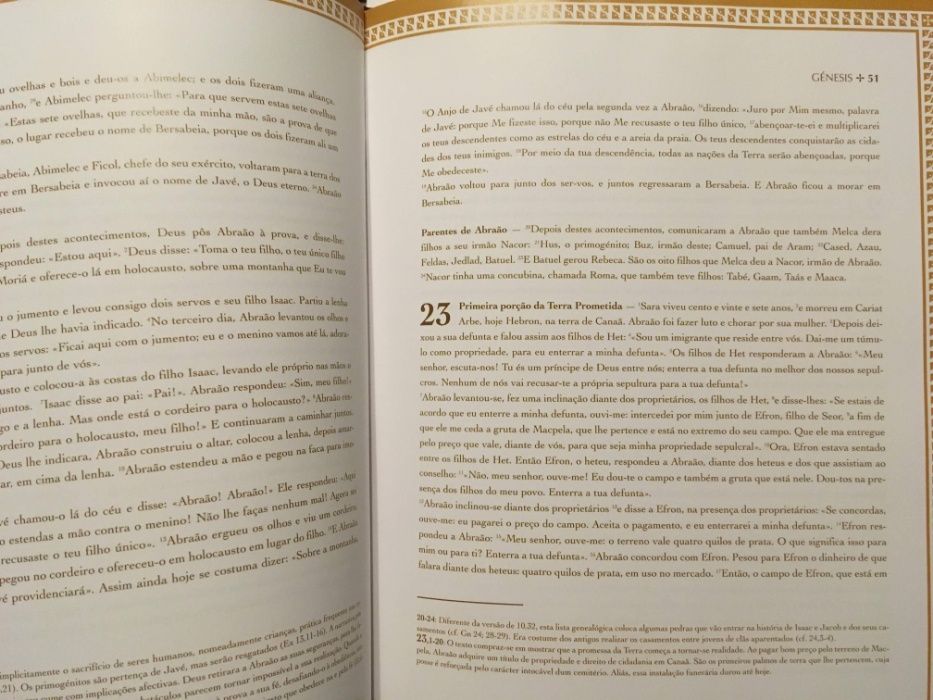 Bíblia Sagrada - XV Volumes