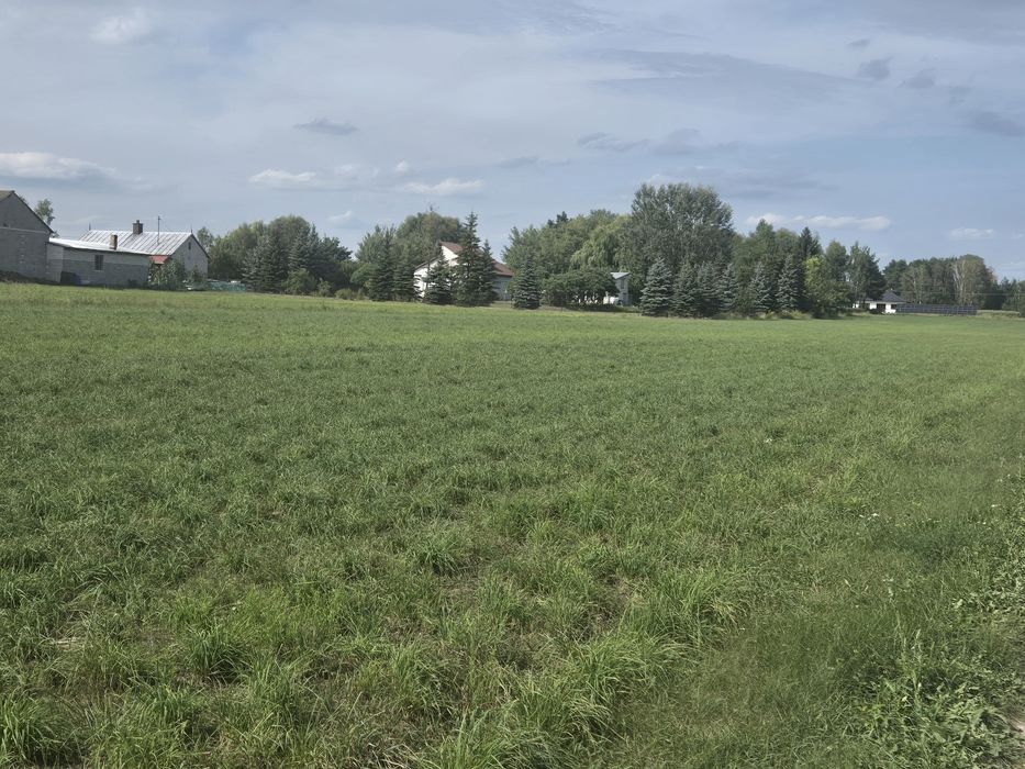 Zdjęcie 3