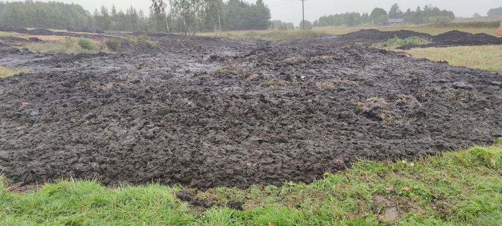 Torf bardzo dobrej jakości sama próchnica.