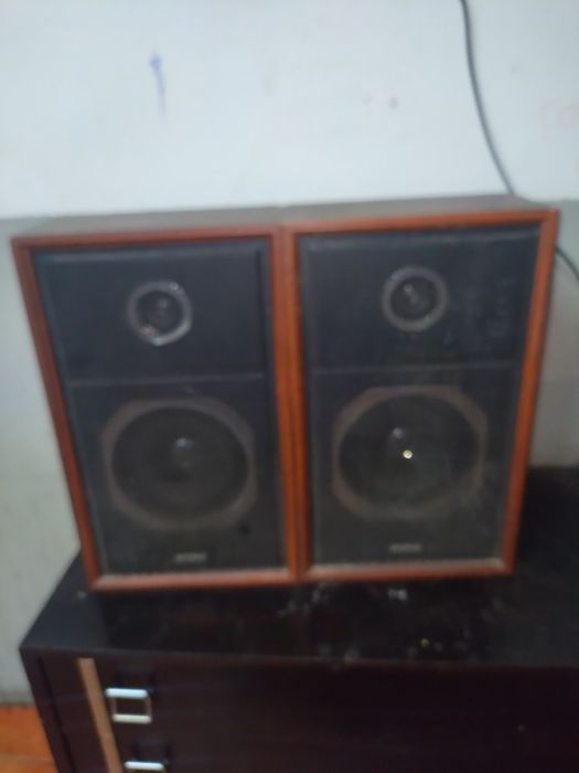 Vendo culonas japonêsas rasing