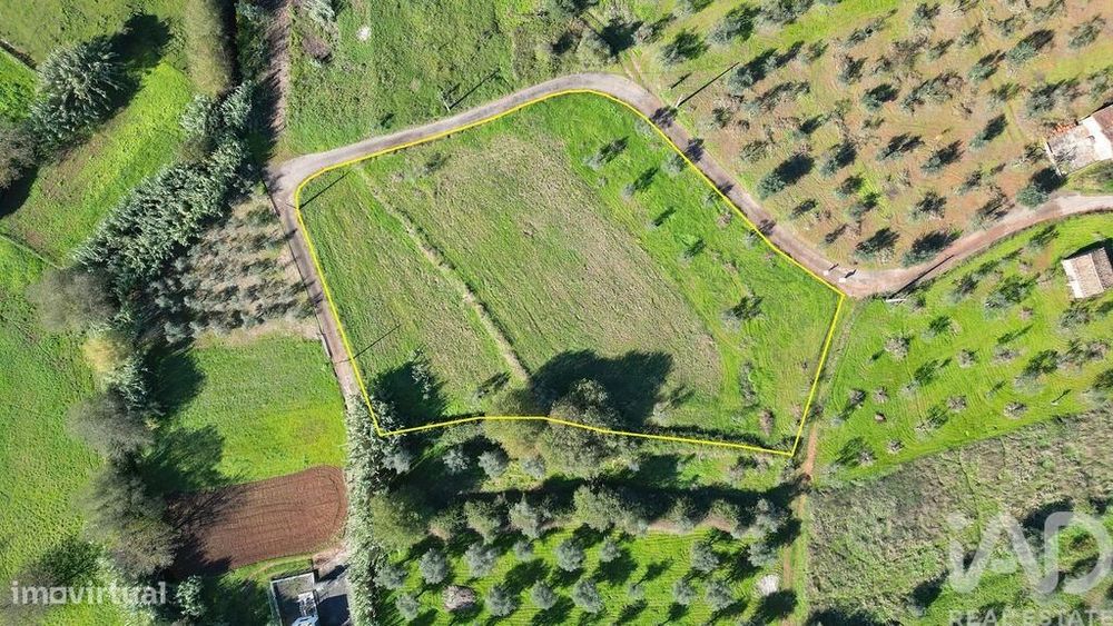 Terreno Agrícola em Podentes