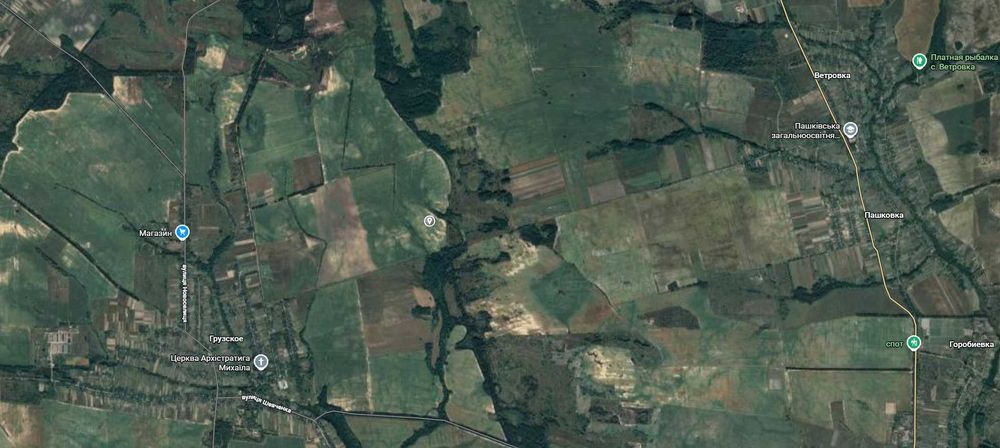 Продам земельну ділянку 230 соток, с. Грузьке, Макарівський район, Київська область, Власник!