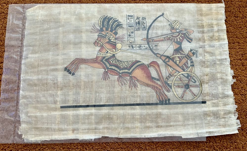 Conjunto de papiros