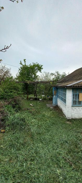 Продаж будинку с. П'ятигори, Київська обл.