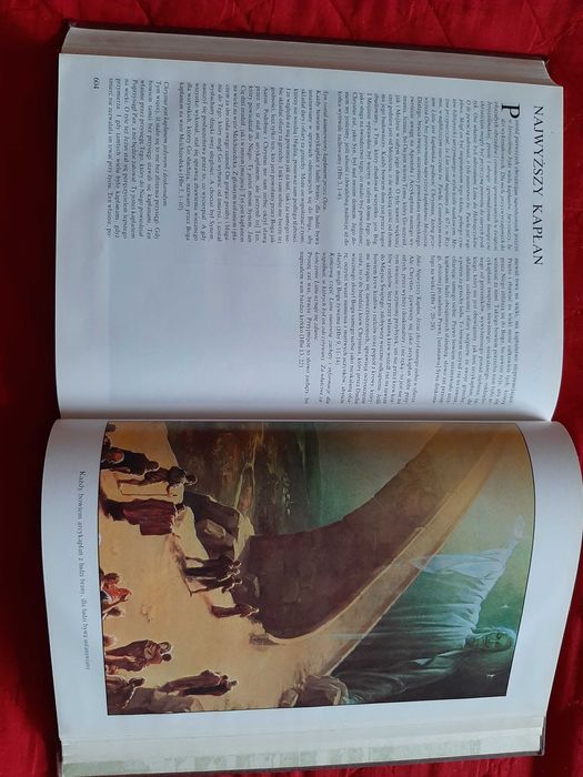 Biblia ilustrowana