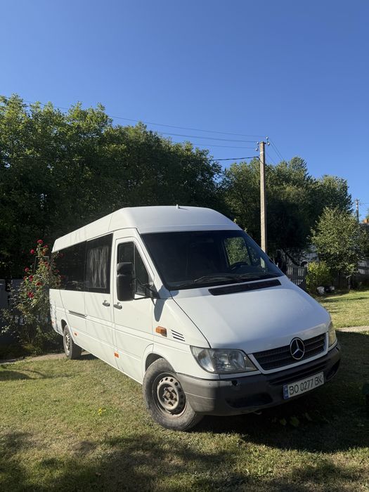 Mercedes-Sprinter 316. Спрінтер 8+1