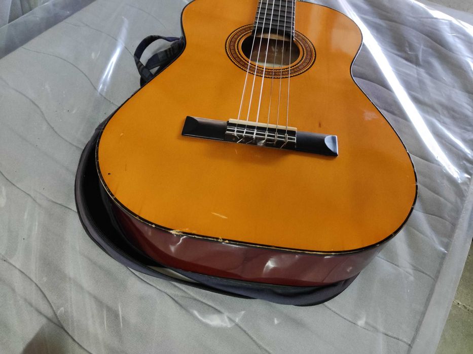 Viola castanha com capa