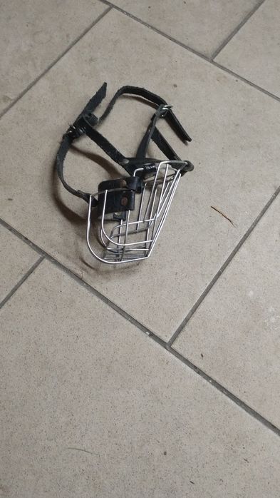 Kaganiec dla małego psa