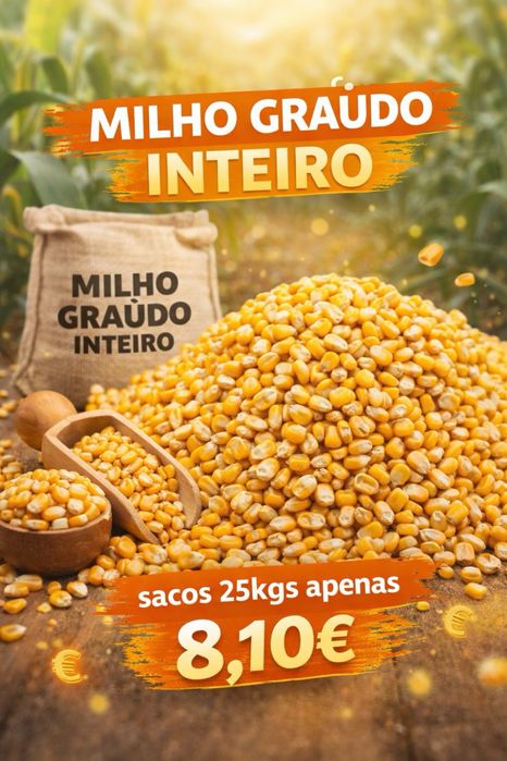 Milho graudo inteiro e milho partido