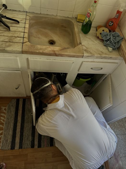 Desinfestacao PERCEVEJOS PULGAS RATOS BARATAS TERMITAS