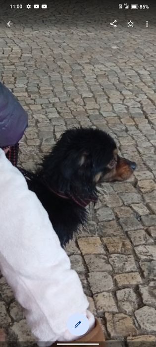Menino para doação URGENTE