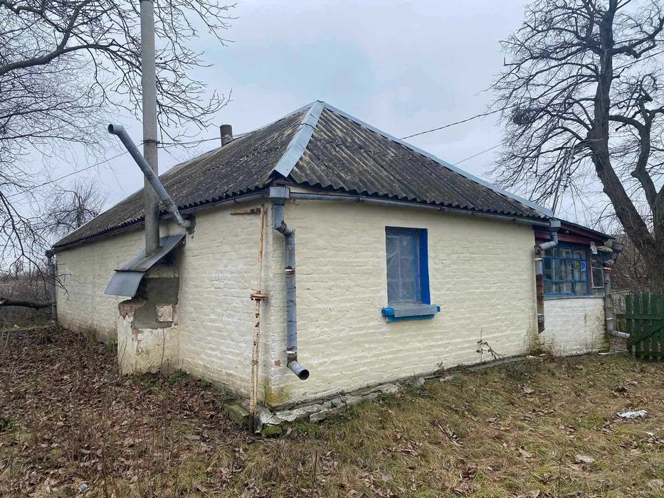 Продаж Будинку з ділянкою 60 соток село Пінчуки ОСГ+Забудова