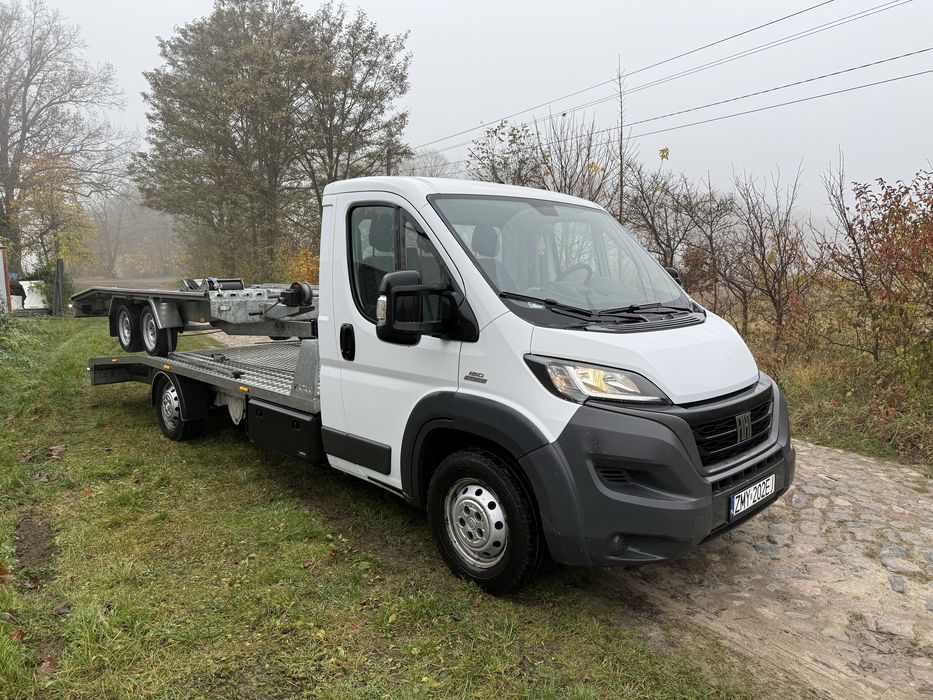 Wynajem autolawet, przyczep, busów