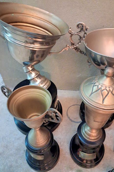 Lote de taças e troféus antigos para recuperar