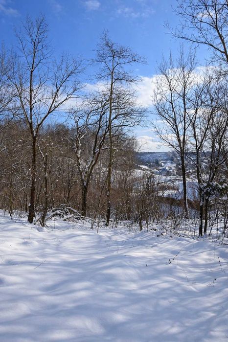 Ділянка серед лісу на пагорбі • 25 соток • 30 км Київ • 5 км Обухів