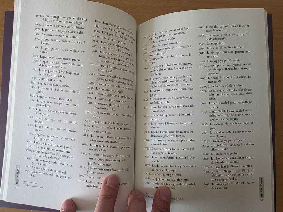 Livro "Ditos Dezideiros" de António Maria Mourinho
