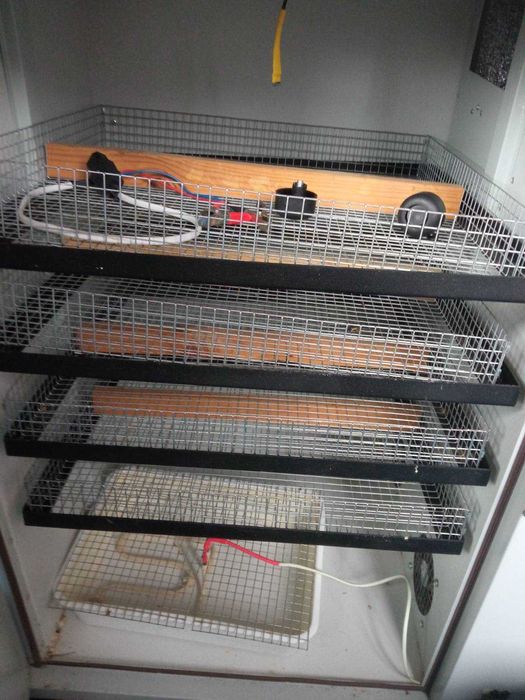 Інкубатор Best-500 АКБ