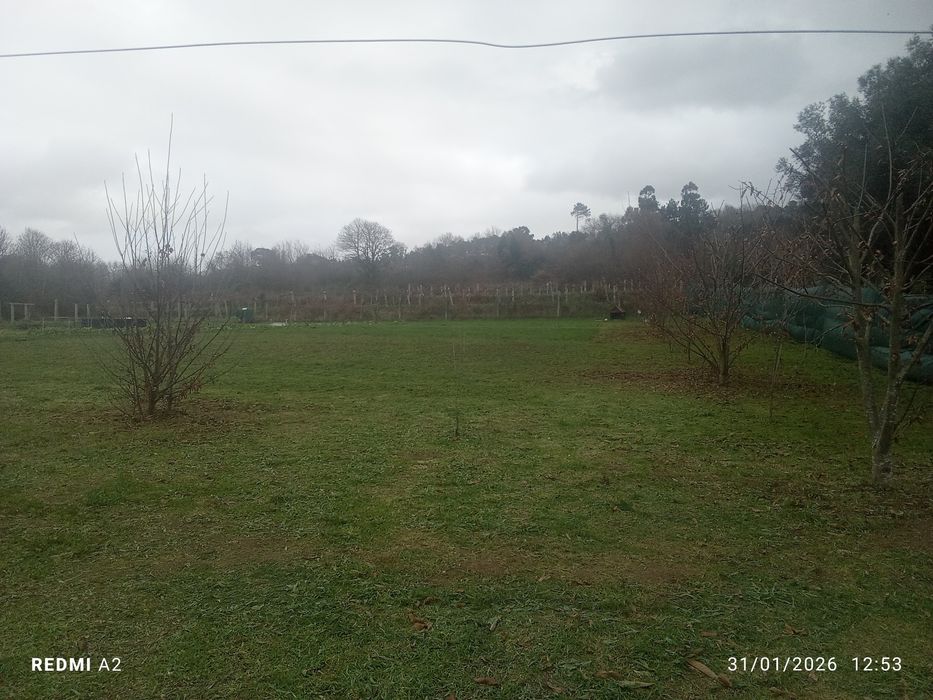 Terreno pomar 3100m2