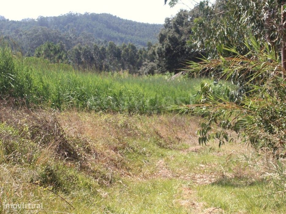 Terreno para construção em Casal do Rei - Rio Maior / Caldas da Rainha