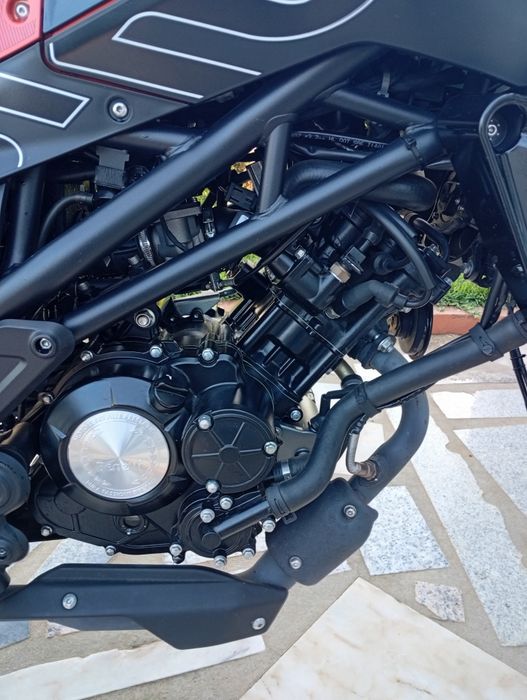 Benelli Leoncino