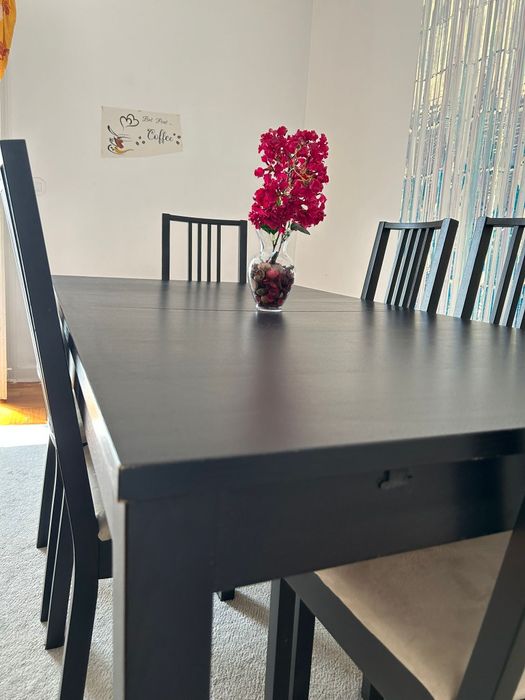 Mesa com 6 cadeiras
