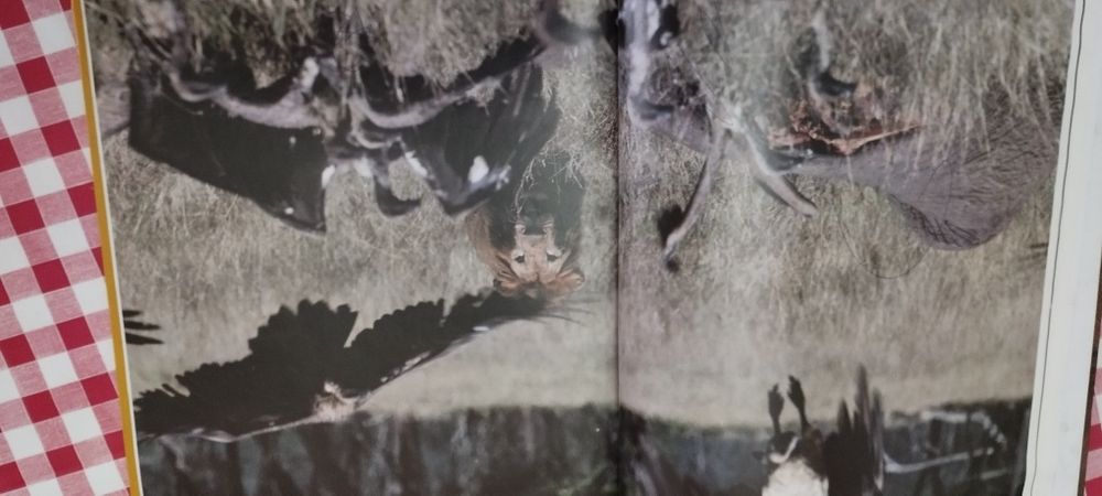 Enciclopédia da vida selvagem