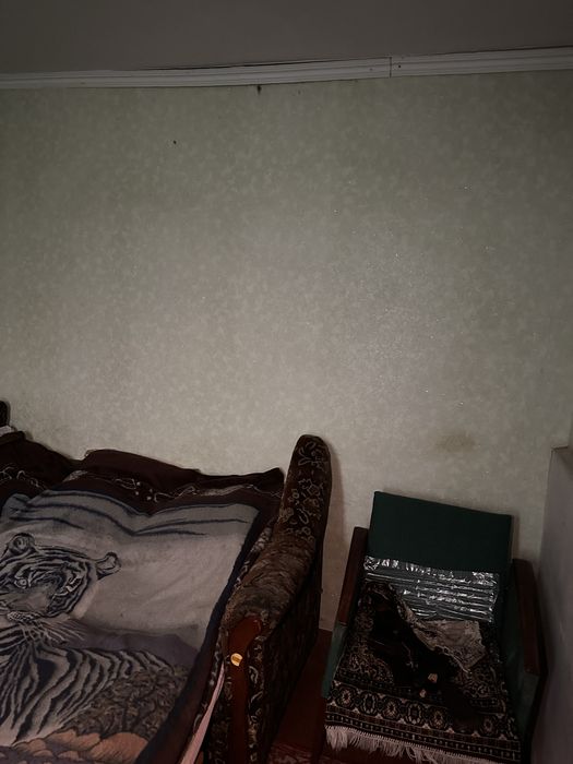 Продаж будинку з ділянкою 25 соток  с. Небелиця, Київська область