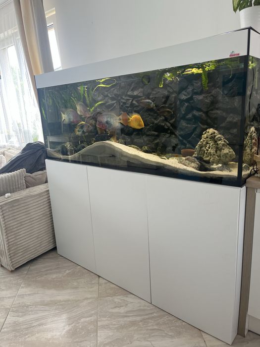 Akwarium diversa ok. 600 l 160/60/60 plus szafka pokrywa ryby filtr