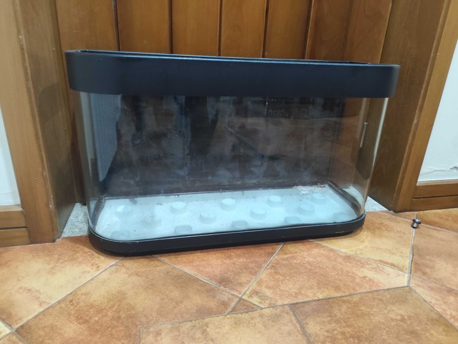 Urgente Aquariofilia, aquário, plantas e peixes