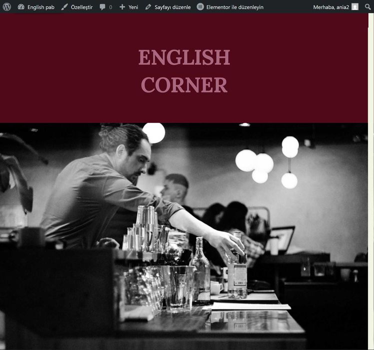 Розробка сайтів, лендінгов на wordpress/elementor