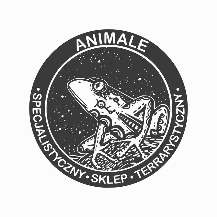 Świerszcze Kubańskie - sklep terrarystyczny ANIMALE
