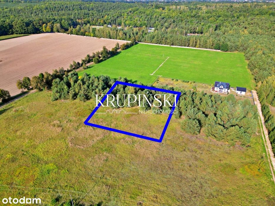 Piękna działka w Zamku Bierzgłowskim! - Widok 5