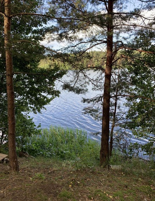 Działka w Sierakowie (las/jezioro)