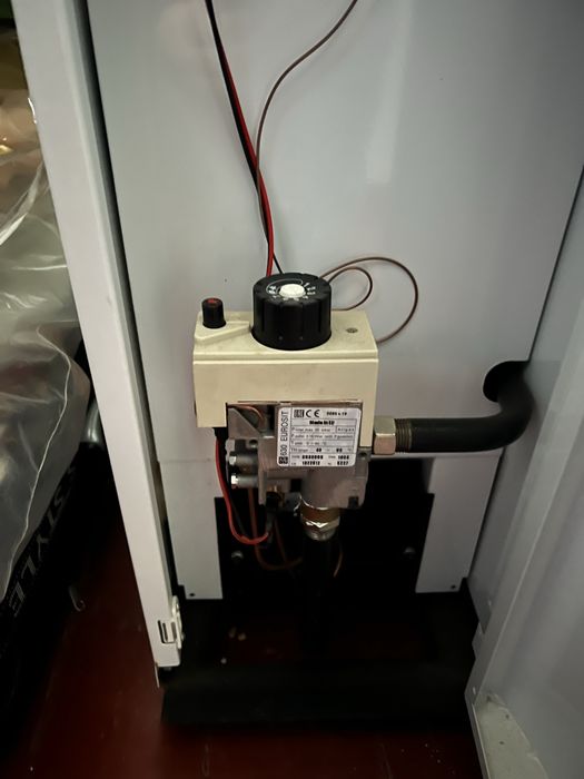 Котел газовый отопительный стальной Данко 10 с