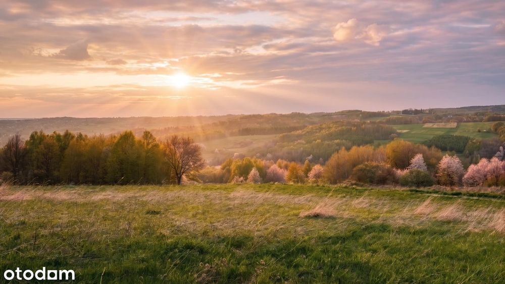 Działki budowlane – Straszydle